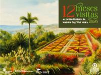12 meses, 12 visitas: (Re)descobrir o Jardim Botânico da Madeira durante 2026