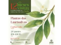 Janeiro no Jardim Botânico: Plantas das Laurissilvas