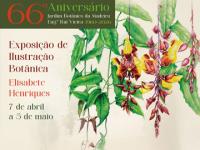 Exposição de Ilustração Botânica – 66º aniversário do JBM