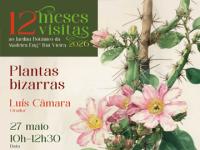 Visitas temáticas maio – 66º aniversário do JBM